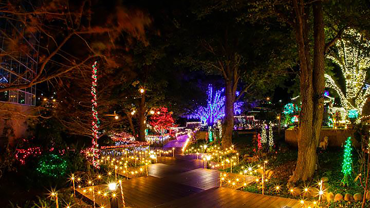 December entertainment calendar Your guide to Christmas events, 'Plaid